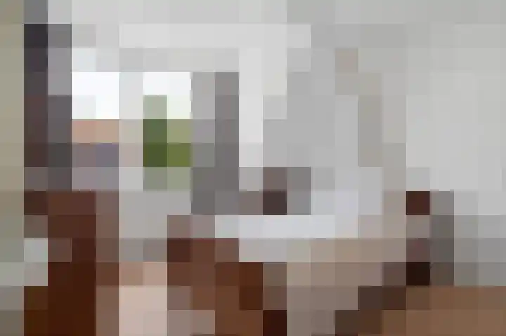 Davelaer 12 St.-Annaparochie thumbnail 25