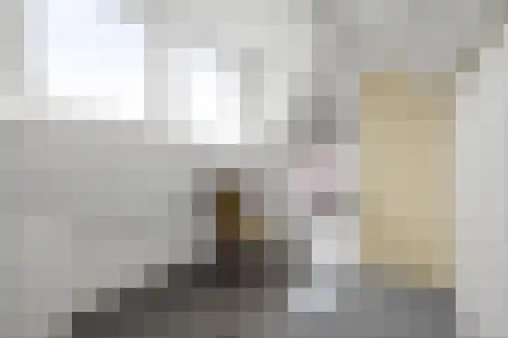 Davelaer 12 St.-Annaparochie thumbnail 30