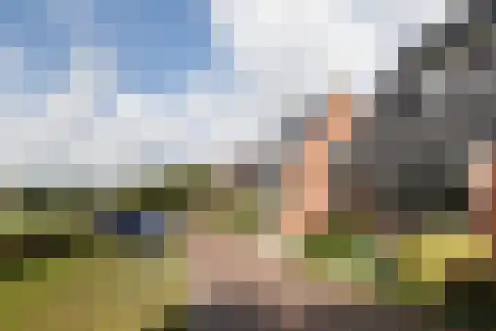 Davelaer 12 St.-Annaparochie thumbnail 41