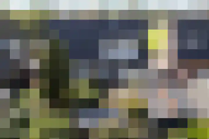 Davelaer 12 St.-Annaparochie thumbnail 45