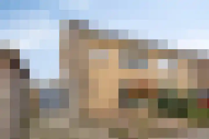 Davenschot 3 Heino