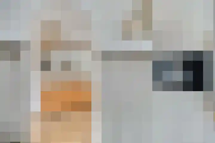 Davenschot 3 Heino thumbnail 11