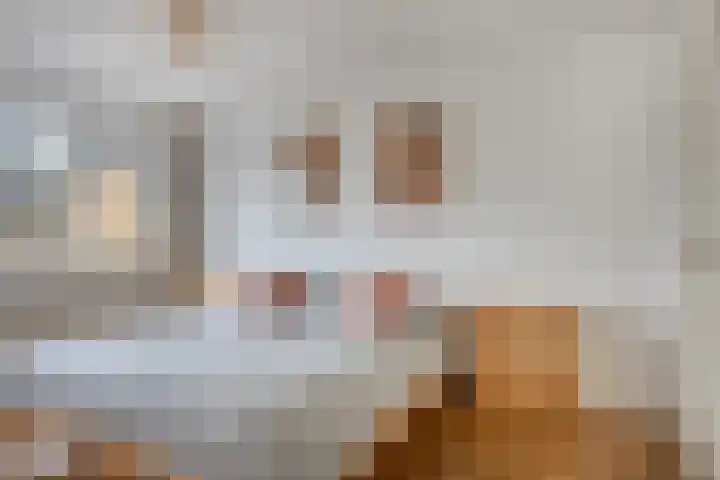 Davenschot 3 Heino thumbnail 17