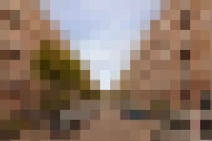 Team foto van DB NVM Makelaars | Baerz & Co