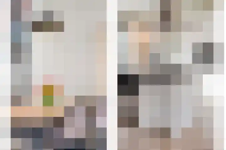 De Aak 26 Dedemsvaart thumbnail 11