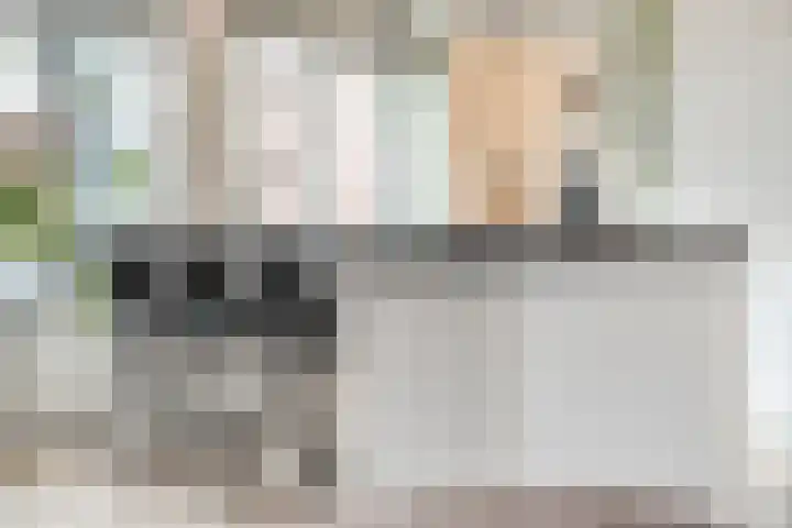 De Aak 26 Dedemsvaart thumbnail 13
