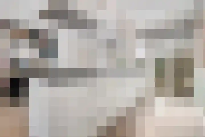 De Aak 26 Dedemsvaart thumbnail 15