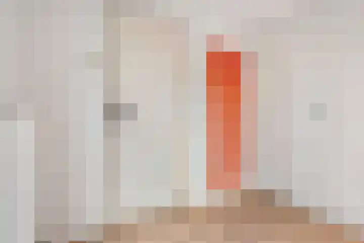 De Aak 26 Dedemsvaart thumbnail 19