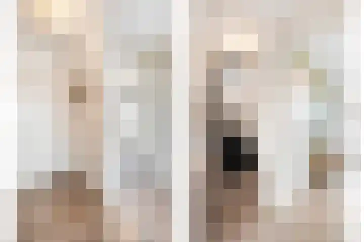 De Aak 26 Dedemsvaart thumbnail 22