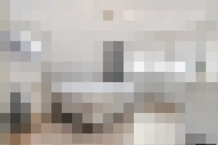 De Aak 26 Dedemsvaart thumbnail 23