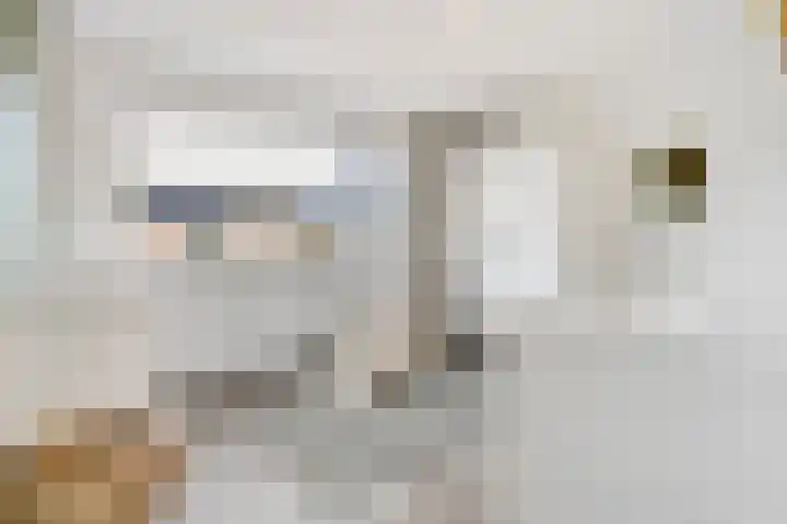 De Aak 26 Dedemsvaart thumbnail 27