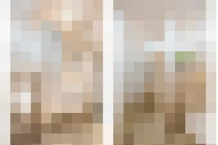De Aak 26 Dedemsvaart thumbnail 29