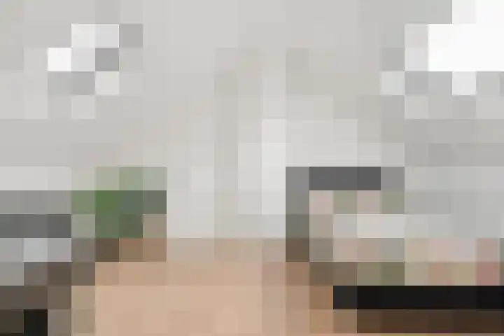 De Aak 26 Dedemsvaart thumbnail 34