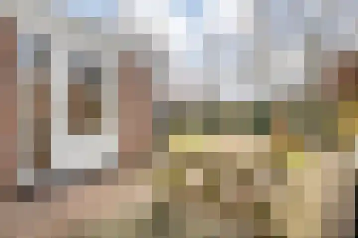 De Aak 26 Dedemsvaart thumbnail 35