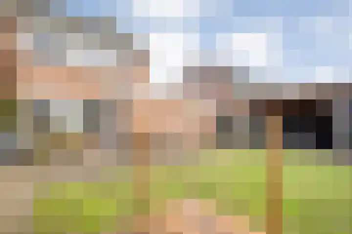 De Aak 26 Dedemsvaart thumbnail 36