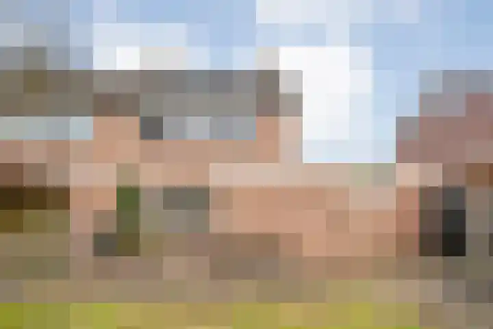 De Aak 26 Dedemsvaart thumbnail 37