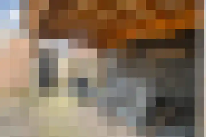 De Aak 26 Dedemsvaart thumbnail 40
