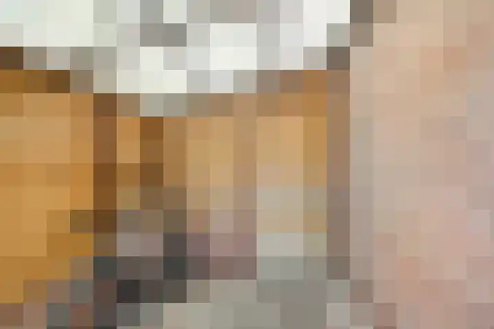 De Aak 26 Dedemsvaart thumbnail 44
