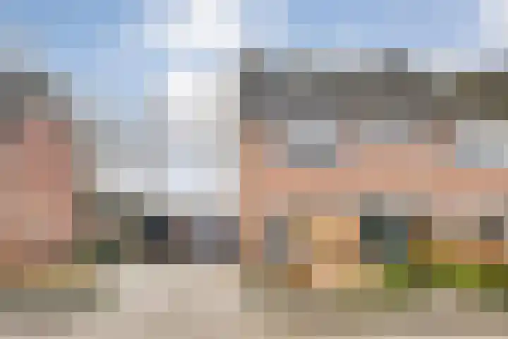 De Aak 26 Dedemsvaart thumbnail 45