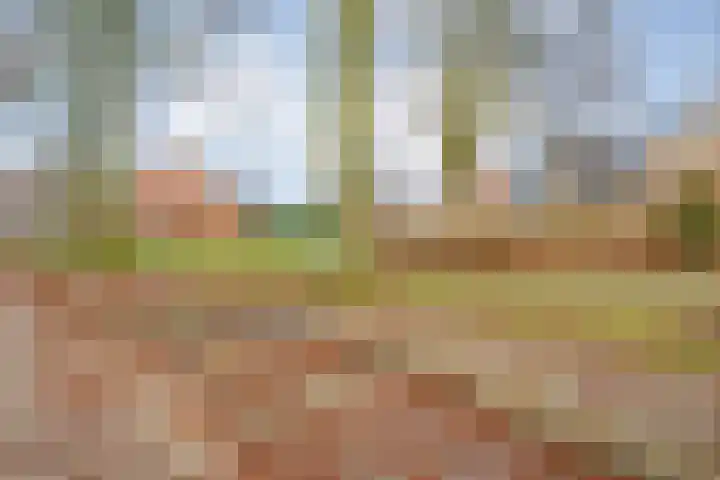 De Aak 26 Dedemsvaart thumbnail 46