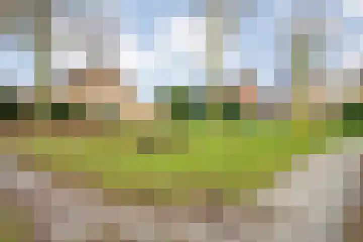 De Aak 26 Dedemsvaart thumbnail 47
