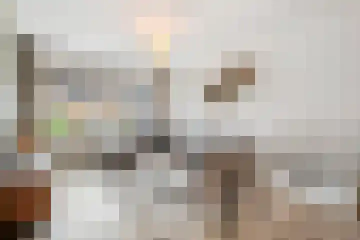 De Aak 26 Dedemsvaart thumbnail 5