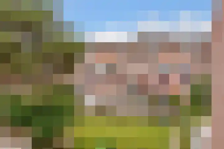 de Aak 46 Baarn thumbnail 25