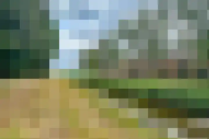 de Aak 46 Baarn thumbnail 29