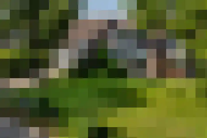 de Aak 46 Baarn thumbnail 4