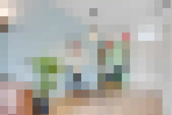 de Aak 46 Baarn thumbnail 8