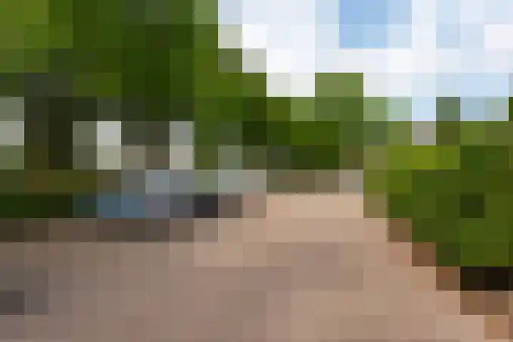 de Aak 49 Baarn thumbnail 22