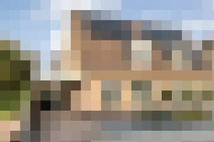 De Aalscholver 10 Dedemsvaart