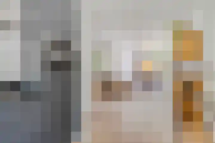 De Aalsvoorten 8 Haps thumbnail 17