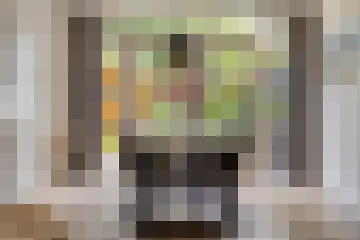 De Aalsvoorten 8 Haps thumbnail 22