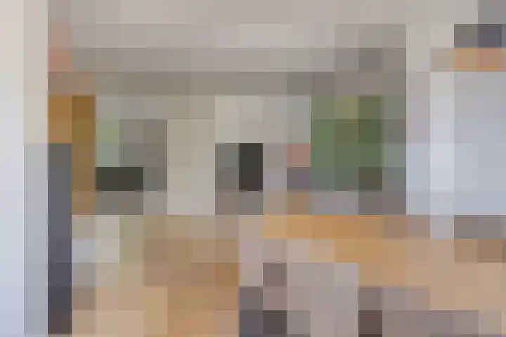 De Aalsvoorten 8 Haps thumbnail 25