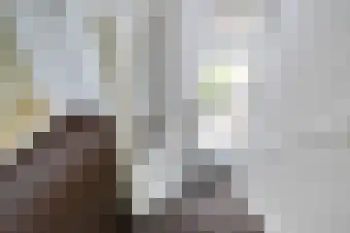 De Aalsvoorten 8 Haps thumbnail 30