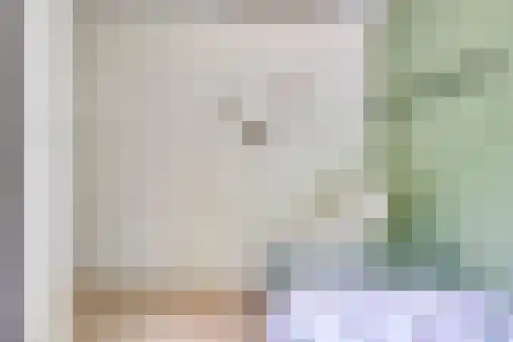 De Aalsvoorten 8 Haps thumbnail 36