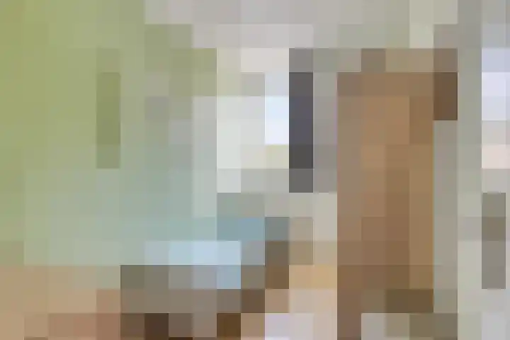 De Aalsvoorten 8 Haps thumbnail 37