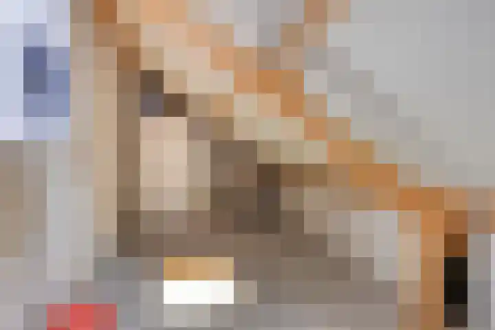 De Aalsvoorten 8 Haps thumbnail 38