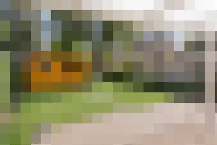 De Aalsvoorten 8 Haps thumbnail 40
