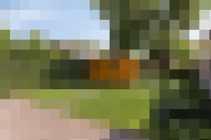 De Aalsvoorten 8 Haps thumbnail 41