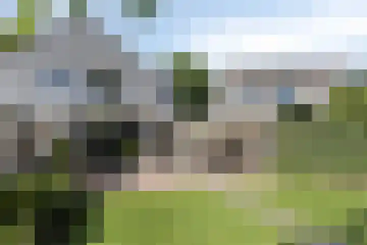 De Aalsvoorten 8 Haps thumbnail 43