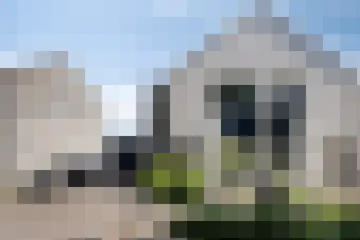 De Aalsvoorten 8 Haps thumbnail 8