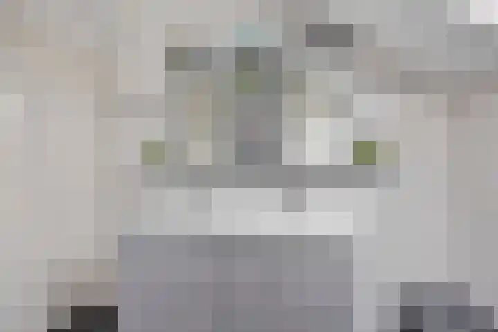 de Acacia 4 Boxmeer thumbnail 21