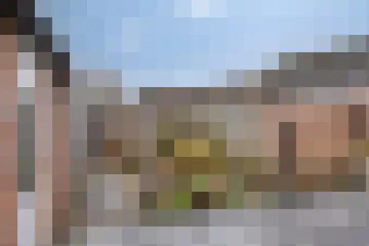de Acacia 4 Boxmeer thumbnail 28