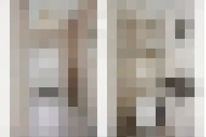 de Acacia 4 Boxmeer foto 3