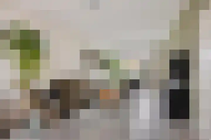 de Acacia 4 Boxmeer thumbnail 4
