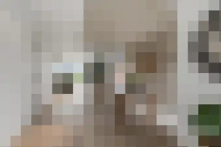 De Achterhoede 16 Wormer thumbnail 10