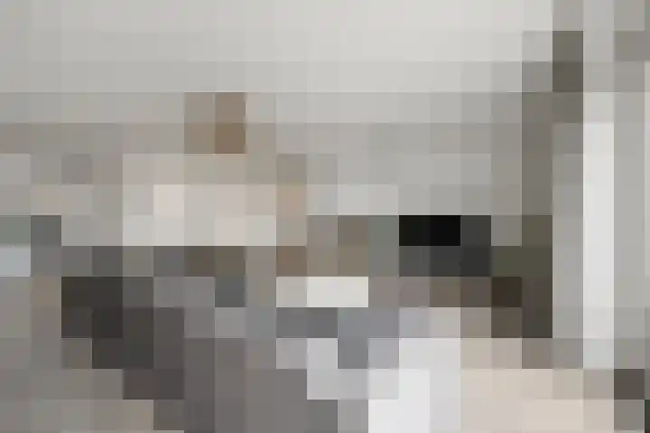 De Achterhoede 16 Wormer thumbnail 13