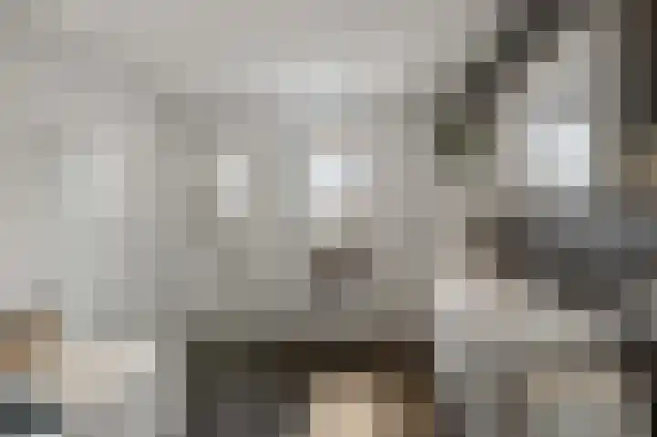 De Achterhoede 16 Wormer thumbnail 21